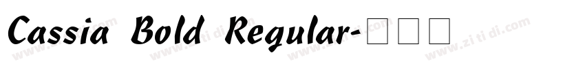 Cassia Bold Regular字体转换